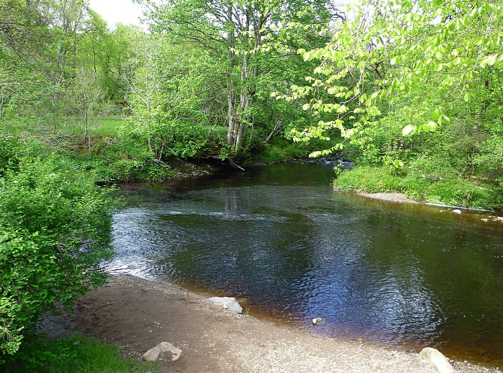 Meeting of River Nethan and Logan Water near Waterside. 3rd June 2015